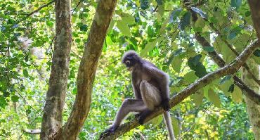Visiter Parc Punta Sal