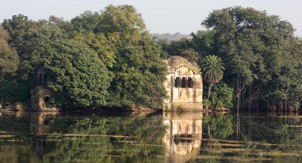 Circuit De la jungle de Kipling au bord du Gange