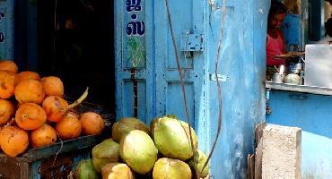 Voyage Inde : Visiter Madurai (Tamil Nadu)