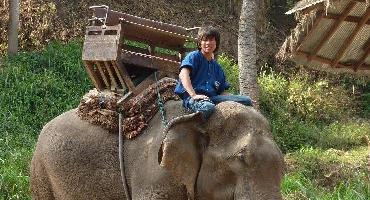 Visiter Elephant Safari Park