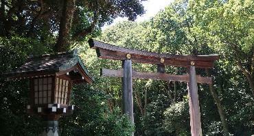 Visiter Quartier Harajuku et Sanctuaire Meiji-Jingu