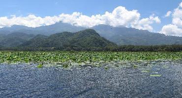Visiter Lac de Yojoa