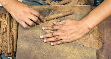 Visiter Fabrique de cigare