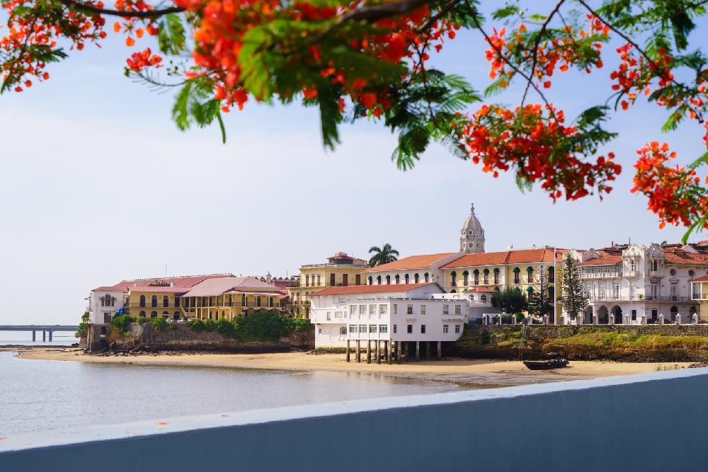 Trésors du Panama