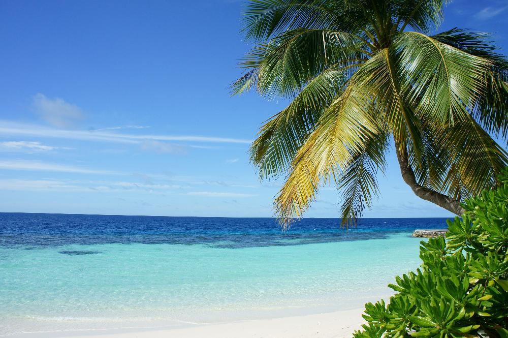 Sri Lanka - Maldives : Perles de l'océan indien