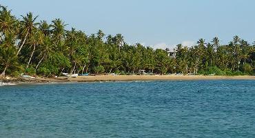 Visiter Plage de Mirissa