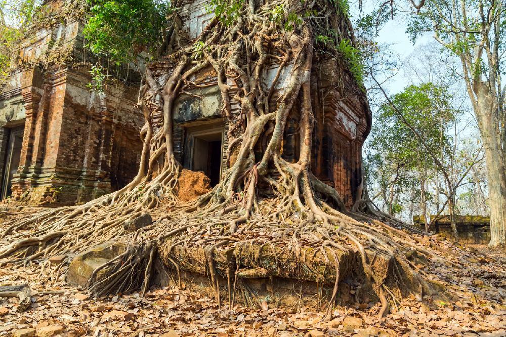Extrait d'Indochine : Vietnam - Cambodge