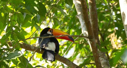 Visiter Parc aux oiseaux