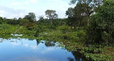 Circuit Brésil : Le Pantanal : Cuiabá