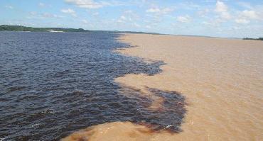 Visiter Navigation sur le Fleuve Amazone (superposition des eaux)