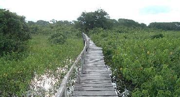 Visiter Pousadas do Pantanal