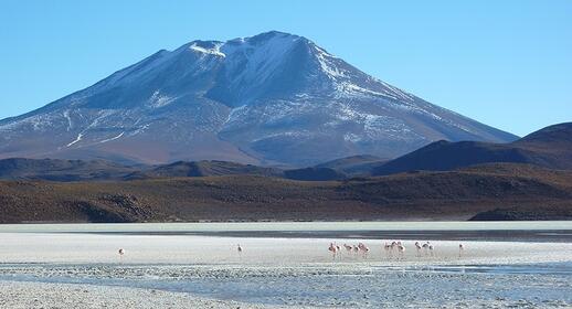 Visiter Boucle dans le Sud Lipez (Bolivie)