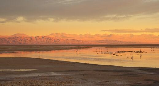 Visiter Découverte du Salar d’Atacama, villages de Toconao et Socaire, lagunes Miscanti et Miñiques