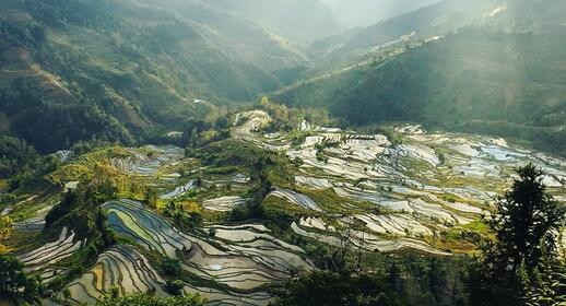 Visiter Rizières en terrasses de Laohuzui (UNESCO)