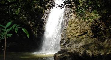 Visiter Découverte des cascades de Montezuma (4h)