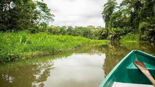 Visiter Navigation sur les canaux du parc (2h)