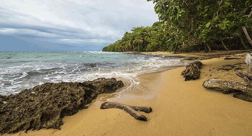 Visiter Parc Gandoca - Manzanillo (3h30)