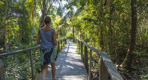 Visiter Parc national de Cahuita