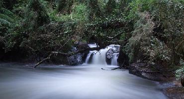 Voyage Costa Rica : Visiter La Réserve Monteverde