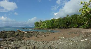 Voyage Costa Rica : Visiter Le Parc Corcovado