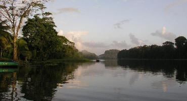 Voyage Costa Rica : Visiter Le Parc Tortuguero