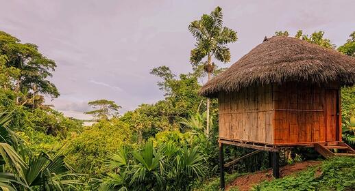 Visiter Réserve de Yasuni