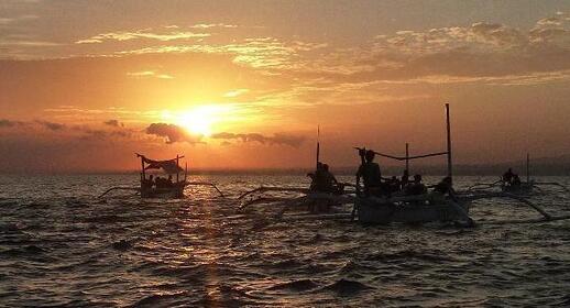 Visiter Navigation pour observer les dauphins