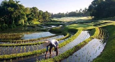 Voyage Indonésie : Visiter BALI CENTRE