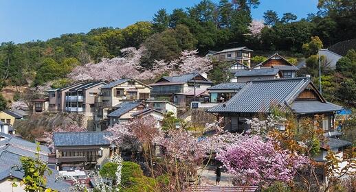 Visiter Miyajima