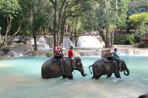 Visiter Balade à dos d’éléphant et chutes de Tad Sae