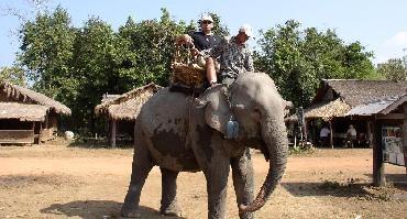 Visiter Les villages aux éléphants et Phou asa