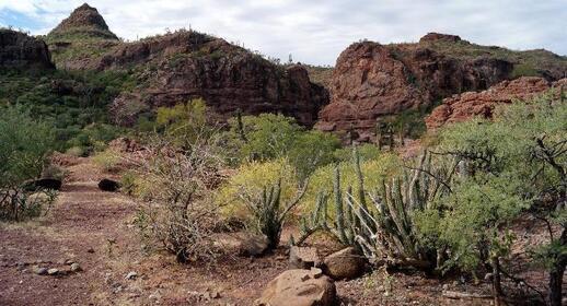 Visiter Canyon de la Trinidad