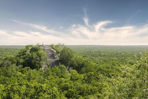 Visiter Cité maya de Calakmul (UNESCO)