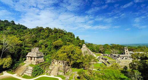 Visiter Cité maya de Palenque (UNESCO)