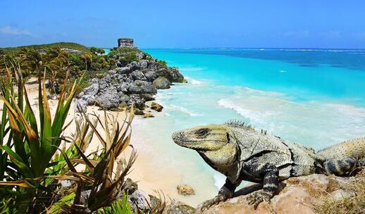 Visiter Cité maya de Tulum