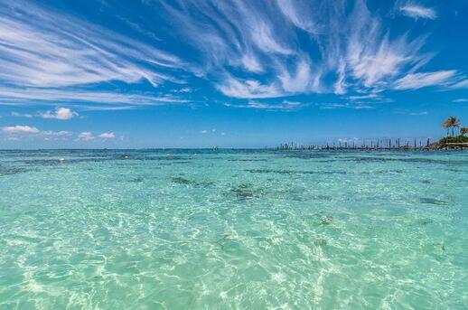 visiter Ile de Cozumel