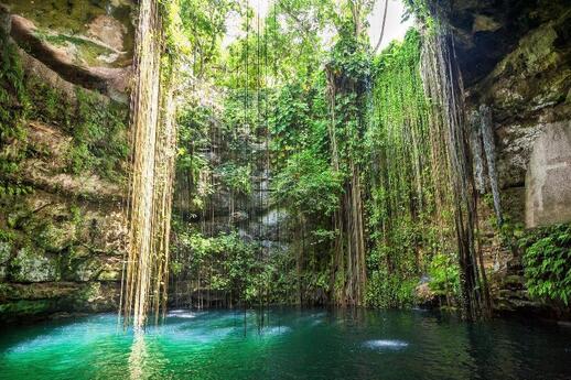 Visiter Les cenotes de Cuzama