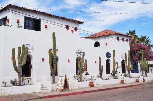 Visiter Todos Santos