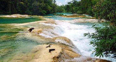 Voyage Mexique : Visiter Palenque