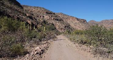 Voyage Mexique : Visiter San Ignacio (Mexique)