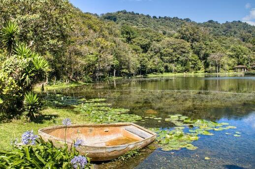 Visiter Finca Selva Negra