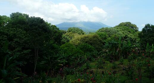 Visiter Ile d’Ometepe