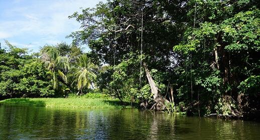 Visiter Navigation sur le lac Nicaragua : visite de « las isletas »