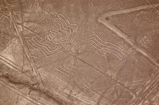 Visiter Lignes de Nazca