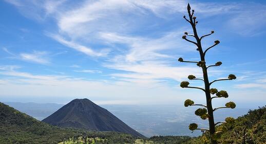 Visiter La route des volcans : Izalco, Santa Ana et Cerro Verde