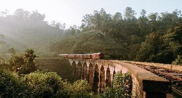 Sri Lanka, au pays de l'or vert