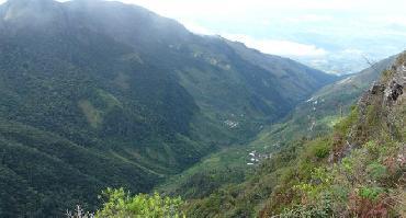 Visiter Randonnée dans le parc d’Horton Plains (UNESCO)