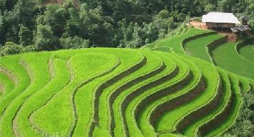 Voyage Vietnam : Visiter Sapa